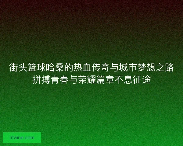 街头篮球哈桑的热血传奇与城市梦想之路拼搏青春与荣耀篇章不息征途
