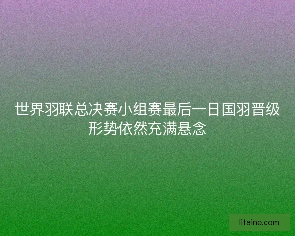 世界羽联总决赛小组赛最后一日国羽晋级形势依然充满悬念